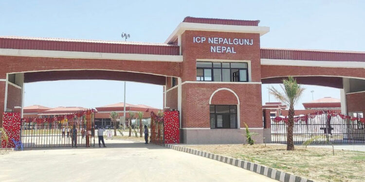 ICP NPJ
