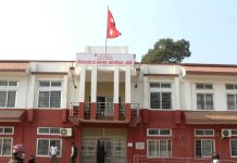 नेपालगन्ज नाकाबाट एक वर्षमा ८४ करोड रुपैयाँको ३७ लाख किलो जडीबुटी निर्यात