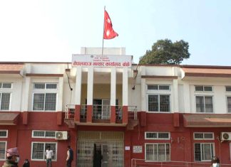 नेपालगन्ज नाकाबाट एक वर्षमा ८४ करोड रुपैयाँको ३७ लाख किलो जडीबुटी निर्यात