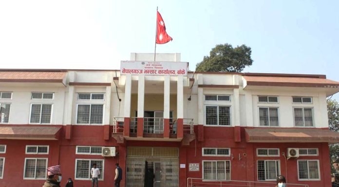 नेपालगन्ज नाकाबाट एक वर्षमा ८४ करोड रुपैयाँको ३७ लाख किलो जडीबुटी निर्यात